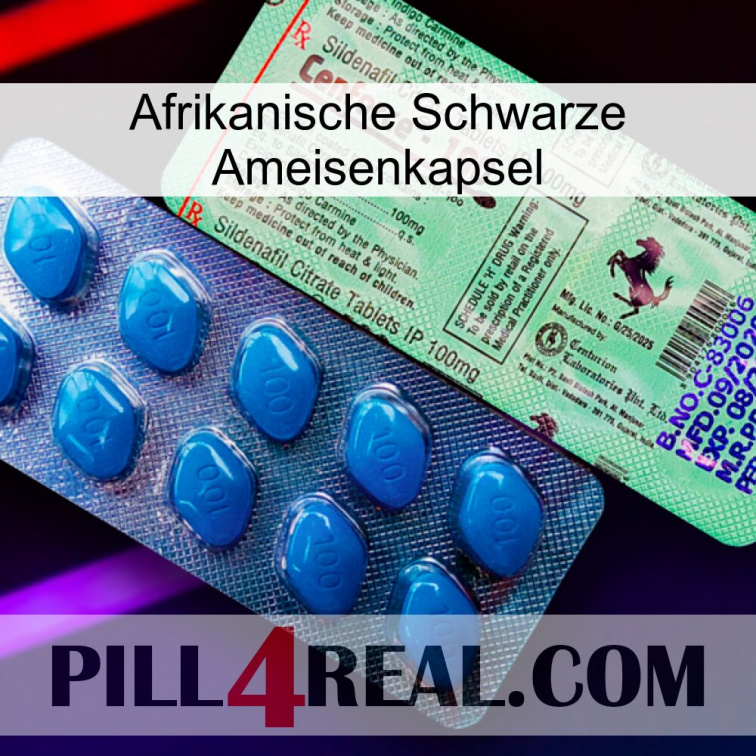 Africa Black Ant Capsule new02